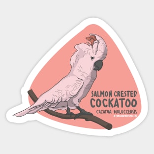 The Salmon Crested Cockatoo Sticker